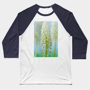 Muscari armeniacum  &#39;Argaei Album&#39;  Grape hyacinth Baseball T-Shirt